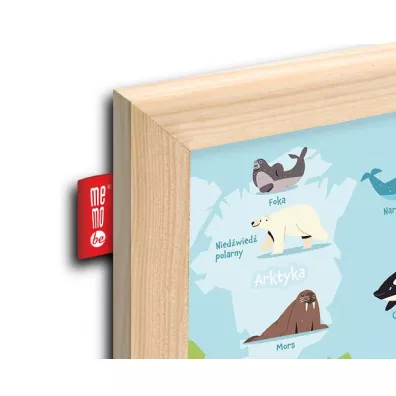 Tablica edukacyjna Animal adventure! 60x40 cm