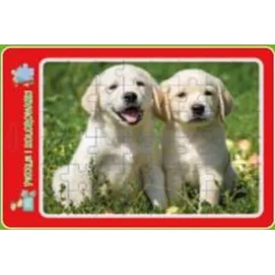 Puzzle w ramce z kolorowank�. Szczeniaczki MD Creative