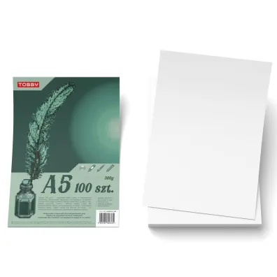 Tobby Papier Brystol A5 100 ark. 300g