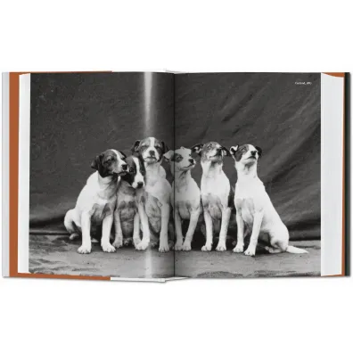 The Dog in Photography 1839-Today wer. angielska