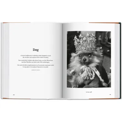 The Dog in Photography 1839-Today wer. angielska