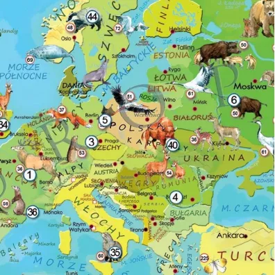 Puzzle 200 el. Mapa M�odego Odkrywcy - Zwierz�ta �wiata ArtGlob