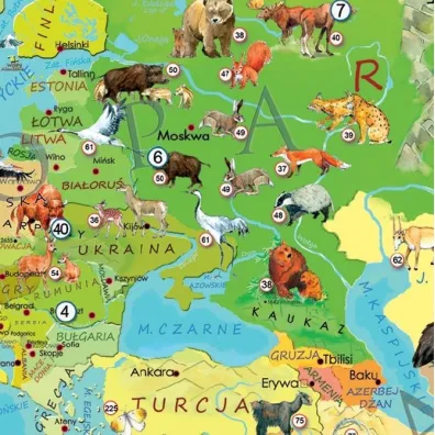 Puzzle 200 el. Mapa M�odego Odkrywcy - Zwierz�ta �wiata ArtGlob