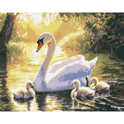 Ideyka Malowanie po numerach - Wieczorne p�ywanie 40x50cm