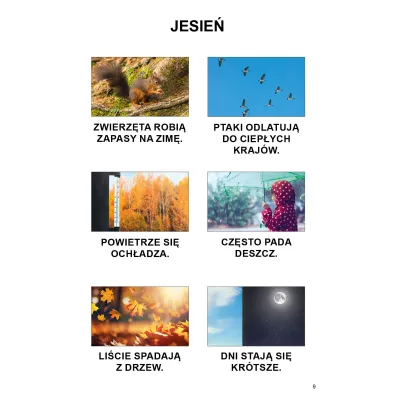 My i �wiat wok� nas. Podr�cznik dla uczni�w z niepe�nosprawno�ci� intelektualn�