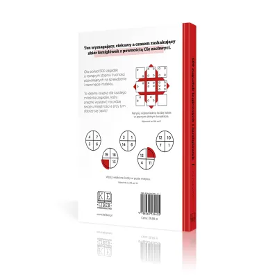 500 zagadek logicznych i �amig��wek