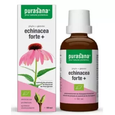 Purasana Echinacea forte (je��wka purpurowa) krople Suplement diety 50 ml Bio
