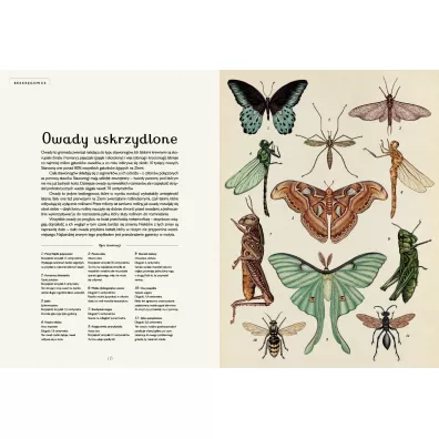 Animalium. Muzeum Zwierzt