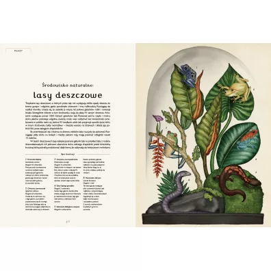 Animalium. Muzeum Zwierzt
