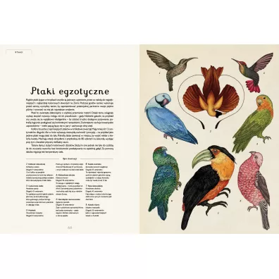 Animalium. Muzeum Zwierzt