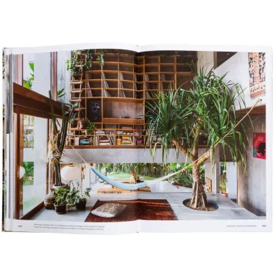 Concrete Jungle. Tropical Architecture and its Surprising Origins