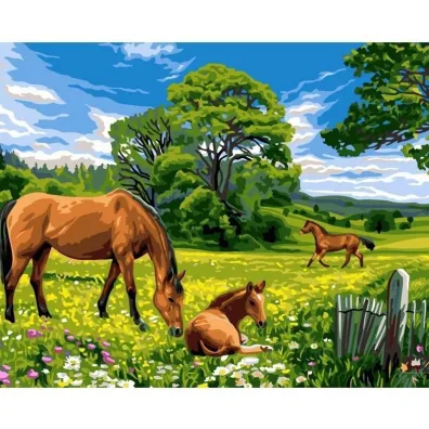 Koh-I-Noor Malowanie po numerach - Konie na ��ce 40x50cm