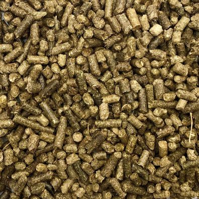 Petstory wirek naturalny cika dla kota gryzoni 40 l