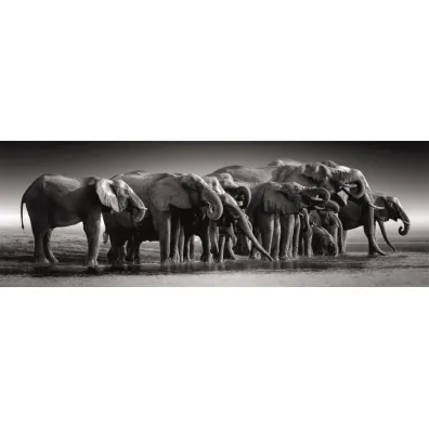 Puzzle 1000 el. Panorama HQ - Herd of Giants Clementoni