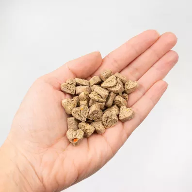Tenetrio Ciasteczka z owadami, twarogiem i marchewk� 200 g