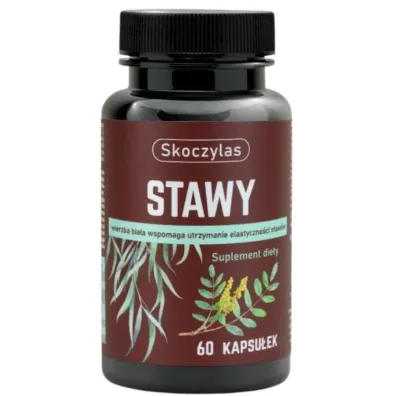 Skoczylas Stawy Suplement diety 60 kaps.
