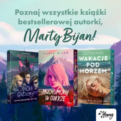 Muchomory w cukrze (ilustrowane brzegi)