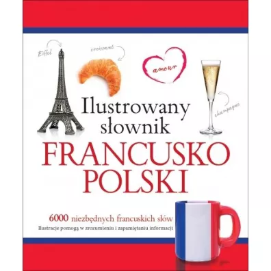 Ilustrowany s�ownik francusko-polski - Tadeusz Wo�niak