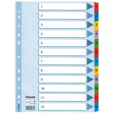 Esselte Przekadki kartonowe Mylar A4 1-12 biae