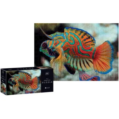 Puzzle 250: Colourful Nature 11 - Mandarinfish Interdruk