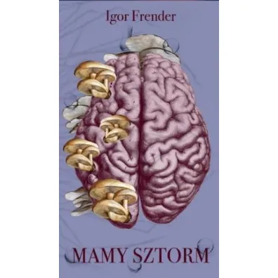 Mamy sztorm - Igor Frender