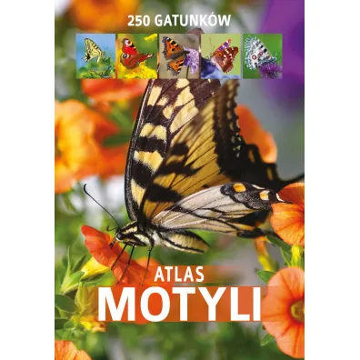 Atlas motyli - Jacek Twardowski, Kamila Twardowska