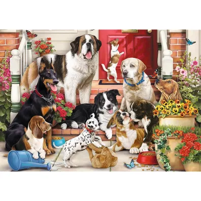 Puzzle Hidden Shapes 1043 el. Psia zabawa Trefl