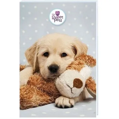 Beniamin Notes A6 30 kartek z poddrukiem Sweet Pets