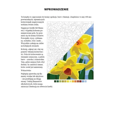 Art therapy. Kolorowanka antystresowa. Kwiaty. Zagadkowe rysunki