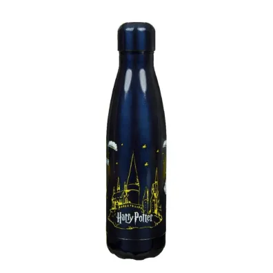 Cass film Butelka Termiczna Harry Potter 500 ml