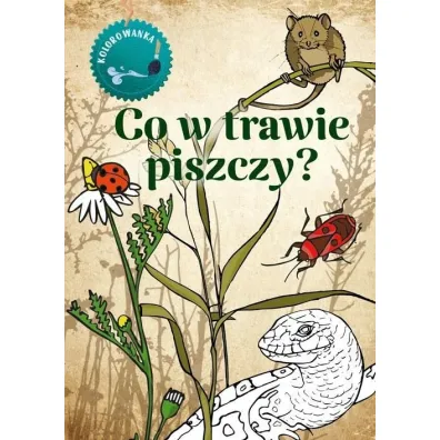 Co w trawie piszczy. Kolorowanka - Katarzyna Kopiec-Sekieta