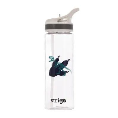 Strigo Bidon z serii Dinozaur 600 ml
