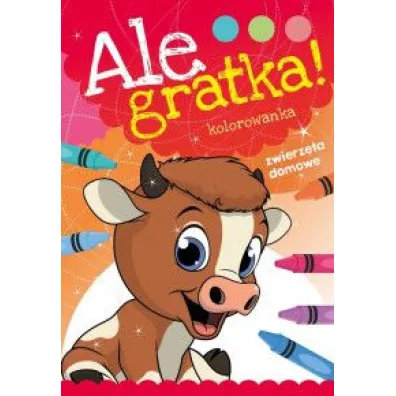 Ale gratka! Zwierz�ta Domowe