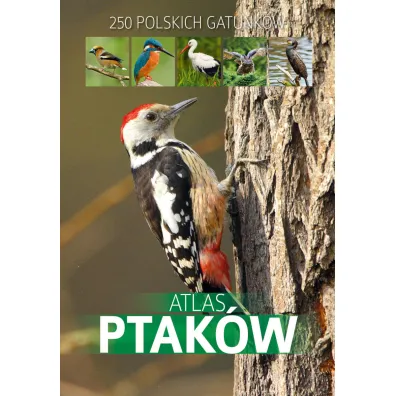 Atlas ptak�w