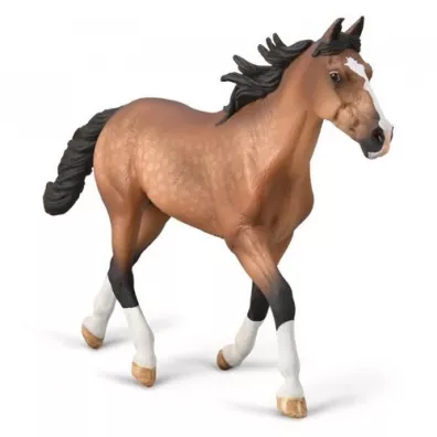 Collecta. Ogier Standardbred Pacer ma�ci gniadej