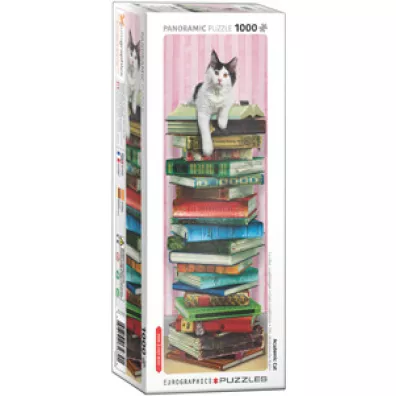 Puzzle panoramiczne 1000 el. Academic Cat Eurographics