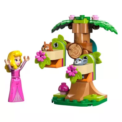 LEGO Disney Leny plac zabaw Aurory 30671