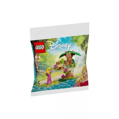 LEGO Disney Leny plac zabaw Aurory 30671