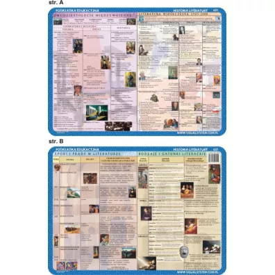 Visual System Podk�adka edukacyjna. Literatura. Wsp�czesno��