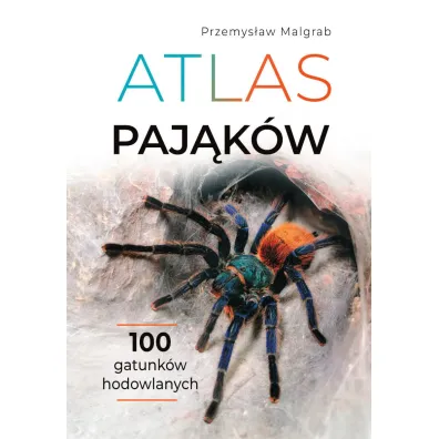Puzzle Pakiet: Atlas paj�k�w, Puzzlove CzuCzu 1000 el. Paj�ki