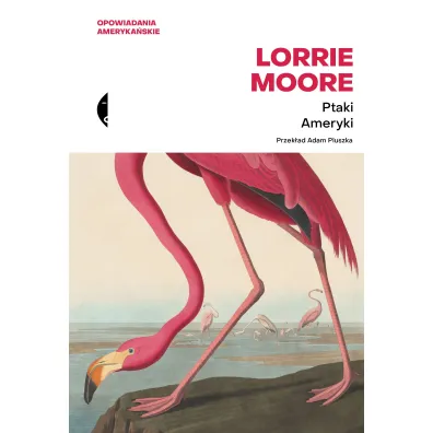 Ptaki Ameryki - Lorrie Moore