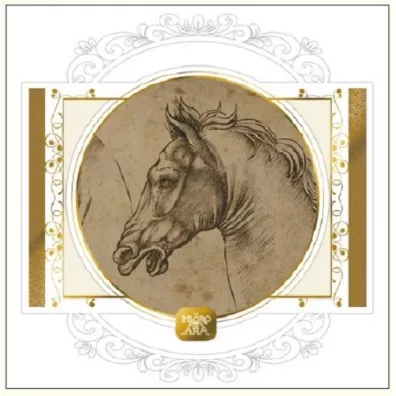 DaVinci Karnet + koperta Ko� szkic 16 x 16 cm