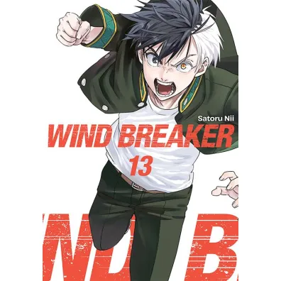 Wind Breaker. Tom 13 - Satoru Nii