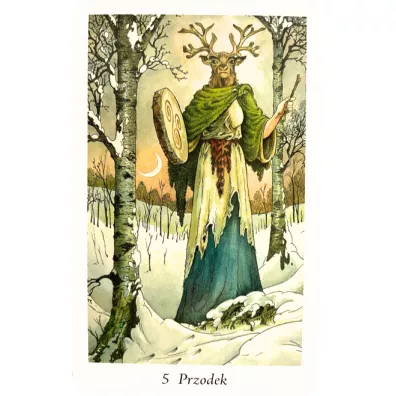 Tarot Pradawnego Lasu. Zestaw karty + ksi��ka