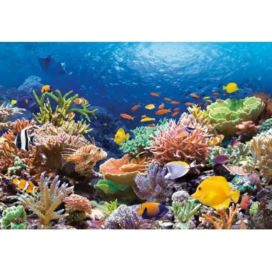 Puzzle 1000 el. Rafa koralowa Castorland