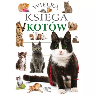 Wielka ksiga kotw