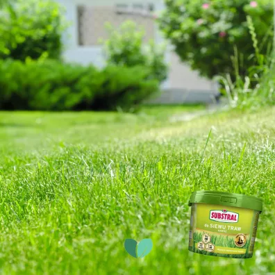 Substral Naw�z 60 dni do siewu traw 5 kg