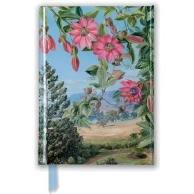 Flame Tree Notatnik A6 Widok w ogrodzie Brisbane Kew linia