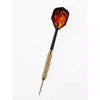 Catdart rzutki STEELTIP Beast 20g profesjonalne