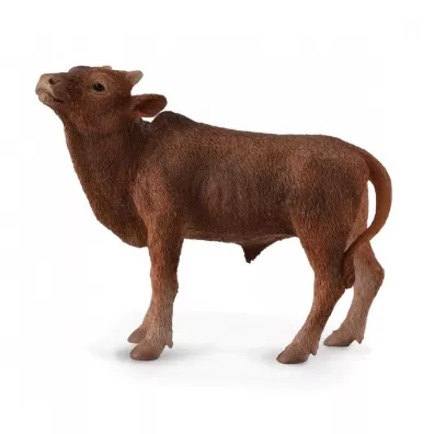 Krowa Ankole-Watusi Calf
